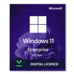 Windows 11 Enterprise IoT LTSC 2024 1 Device Activation Key